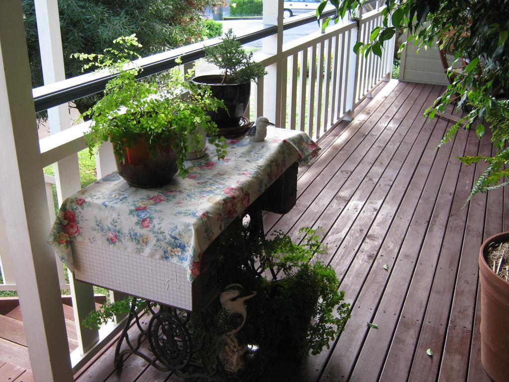Newcastle'S Bed & Breakfast Extérieur photo